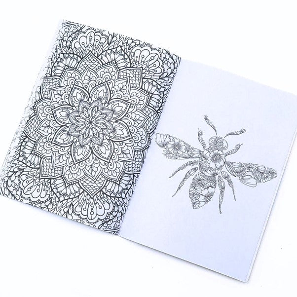 Colouring Book for Adults - Fynbos set