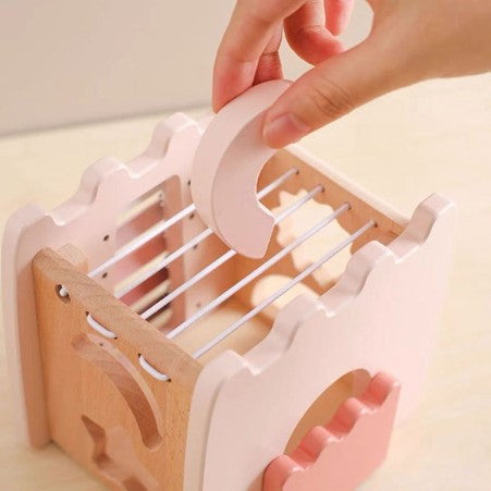 5 in 1 Wooden Castle Cognitive Box